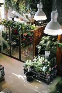 gardening tips - pro - reliable fiber home internet