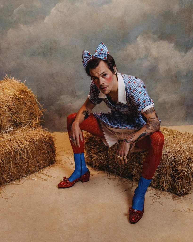 Harry styles - halloween costumes 2021 - streamtech fiber internet